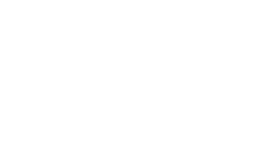 Silicon Carne